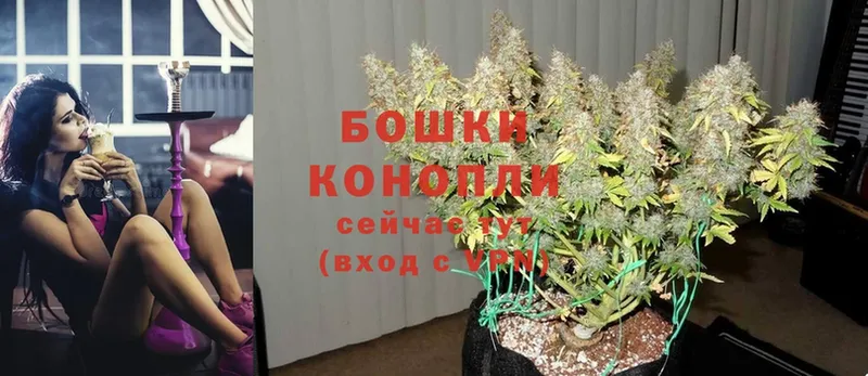 закладка  OMG ссылки  Конопля конопля  Кашин 